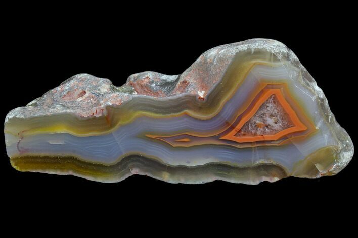 Beautiful Condor Agate From Argentina - Cut/Polished Face #79488